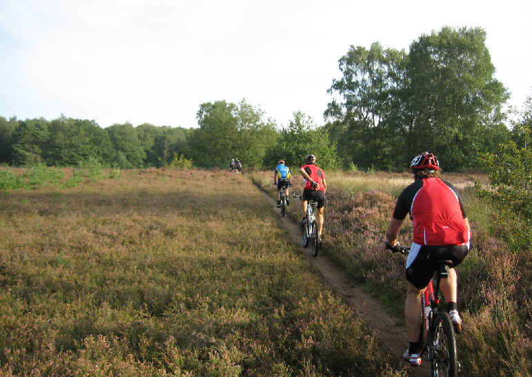Vasser Heide Vasser Heide
